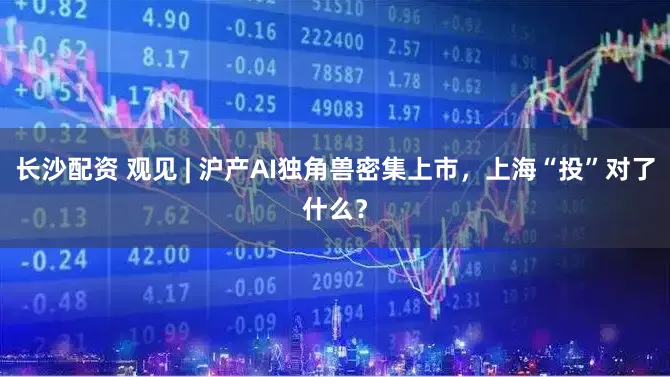 长沙配资 观见 | 沪产AI独角兽密集上市，上海“投”对了什么？