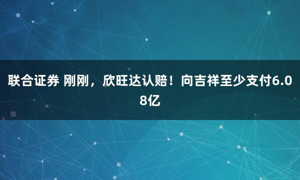 联合证券 刚刚，欣旺达认赔！向吉祥至少支付6.08亿