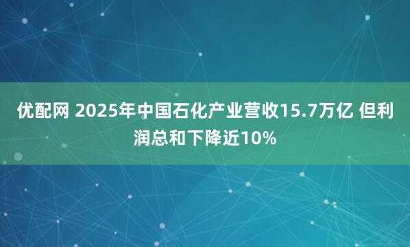 优配网 2025年中国石化产业营收15.7万亿 但利润总和下降近10%
