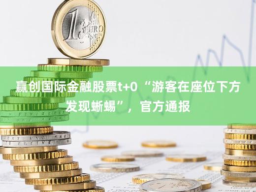 赢创国际金融股票t+0 “游客在座位下方发现蜥蜴”，官方通报