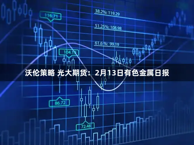 沃伦策略 光大期货：2月13日有色金属日报