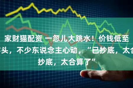 家财猫配资 一忽儿大跳水！价钱低至“2”字头，不少东说念主心动，“已抄底，太合算了”