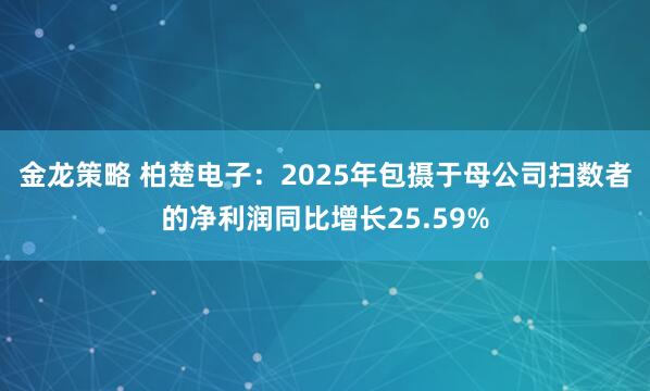 金龙策略 柏楚电子：2025年包摄于母公司扫数者的净利润同比增长25.59%