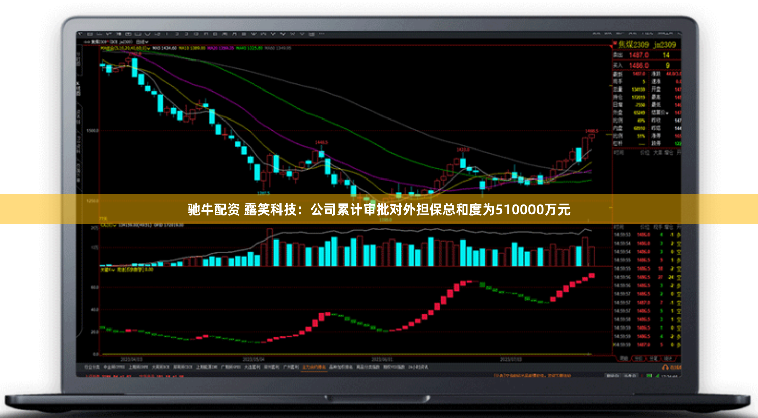 驰牛配资 露笑科技：公司累计审批对外担保总和度为510000万元