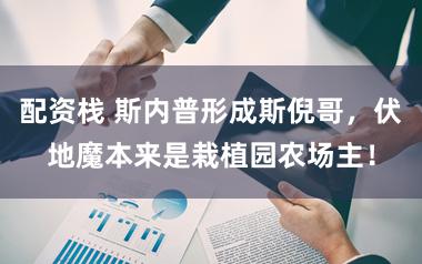 配资栈 斯内普形成斯倪哥，伏地魔本来是栽植园农场主！