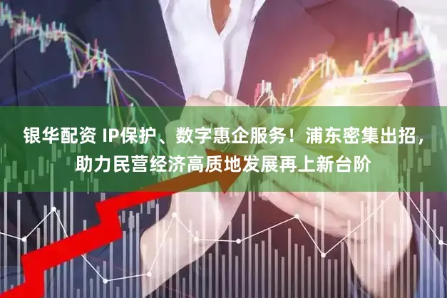 银华配资 IP保护、数字惠企服务！浦东密集出招，助力民营经济高质地发展再上新台阶