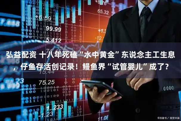 弘益配资 十八年死磕“水中黄金”东说念主工生息，仔鱼存活创记录！鳗鱼界“试管婴儿”成了？