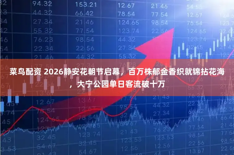 菜鸟配资 2026静安花朝节启幕，百万株郁金香织就锦拈花海，大宁公园单日客流破十万