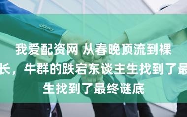 我爱配资网 从春晚顶流到裸捐副县长,牛群的跌宕东谈主生找到了最终谜底